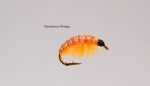Gammarus3 - Orange